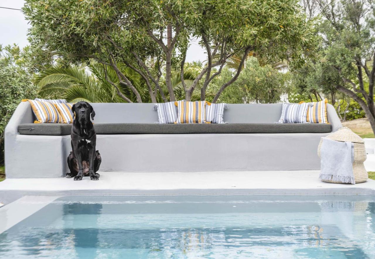 Valente In Mykonos With Two Pools!